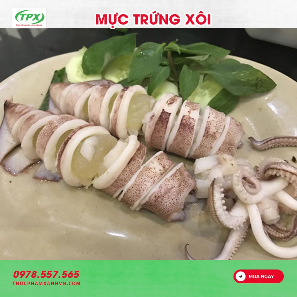 MỰC TRỨNG XÔI CÂU SIZE 18/22 CON