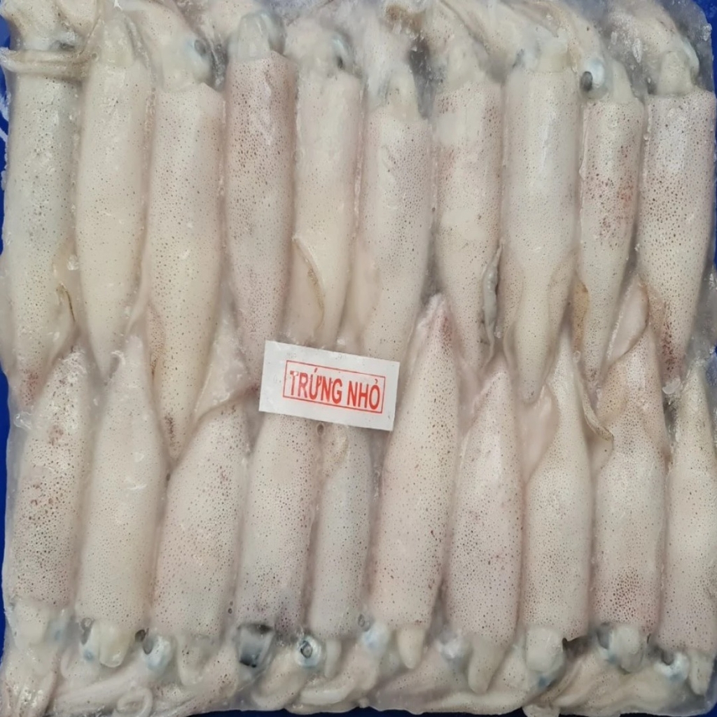 MỰC TRỨNG XÔI CÂU SIZE 18/22 CON