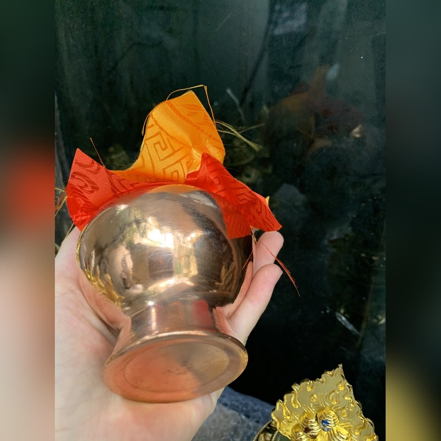 Bảo Bình Tài Bảo bé