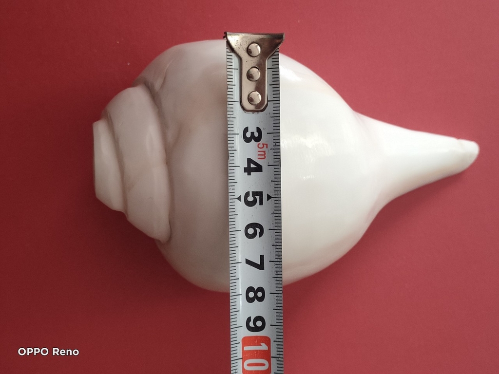 Ốc pháp loa (quay trái)