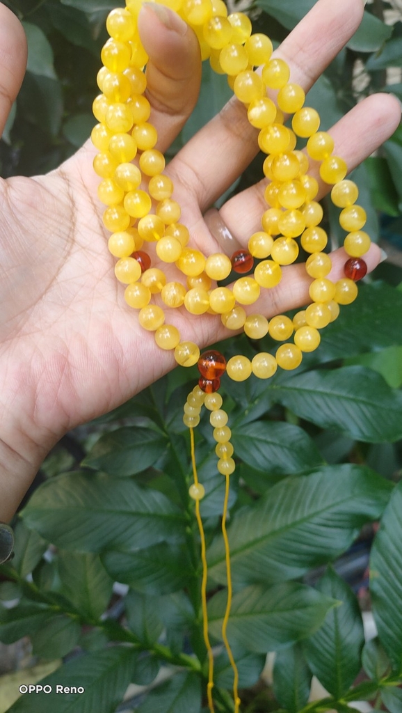 Chuỗi hổ phách mina màu vàng kem