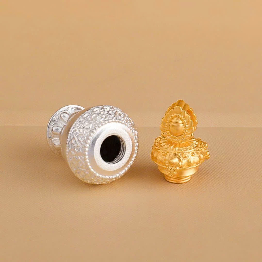 Hộp Gau Bảo Bình