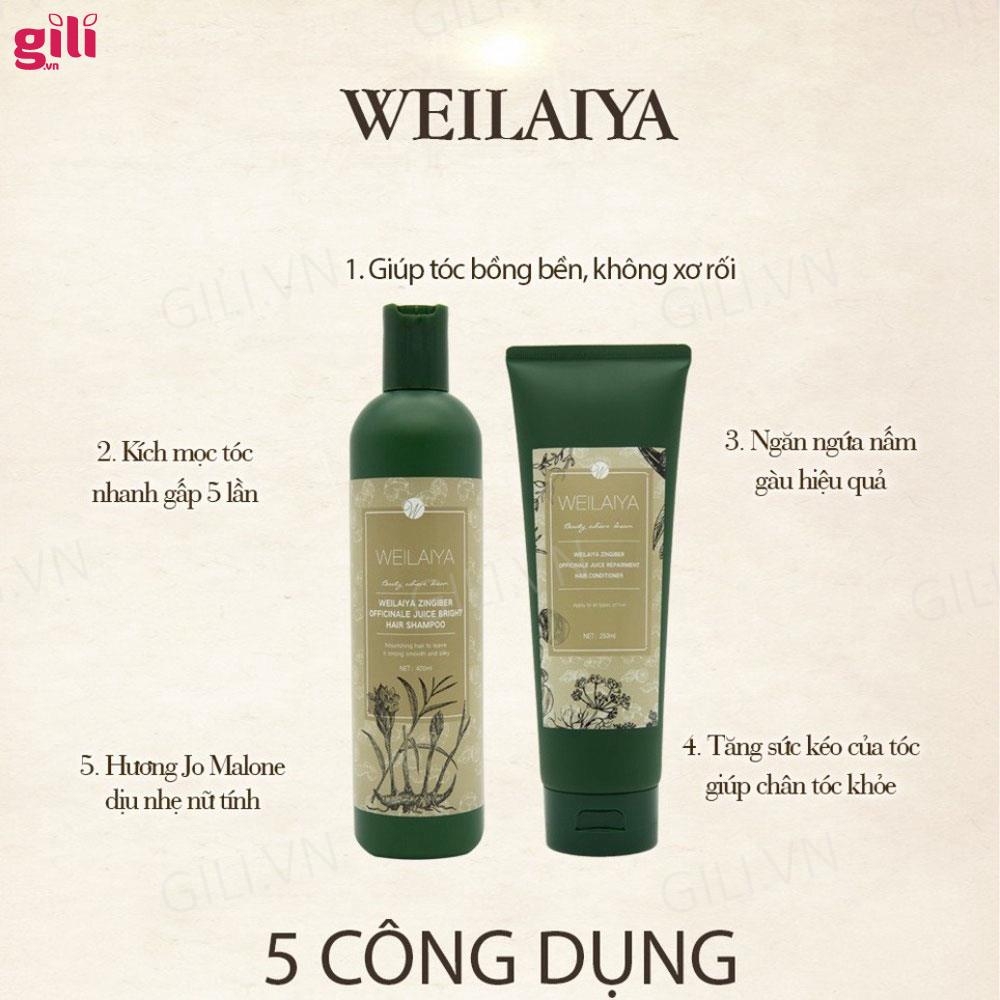 Bộ gội xả Hà Thủ Ô Weilaiya Zingiber 20ml + 20ml chính hãng
