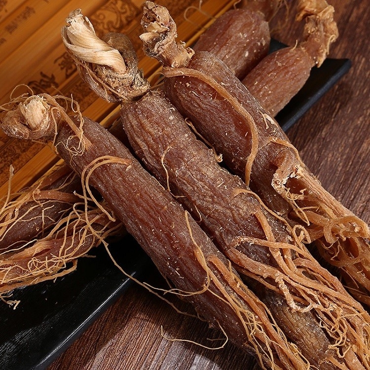 4 tác dụng của thiên sâm đối với sức khỏe con người