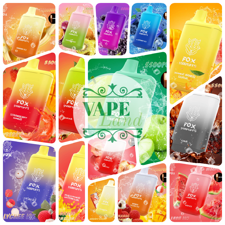 FOX Pod 15 vị 5500 hơi Disposable Vape / 15ml / 5% (50mg) / 550mAh - Type C / Mesh Coil