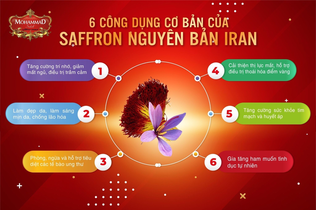 Nhụy hoa nghệ tây Saffon nguyên bản Mohammad Iran 2g