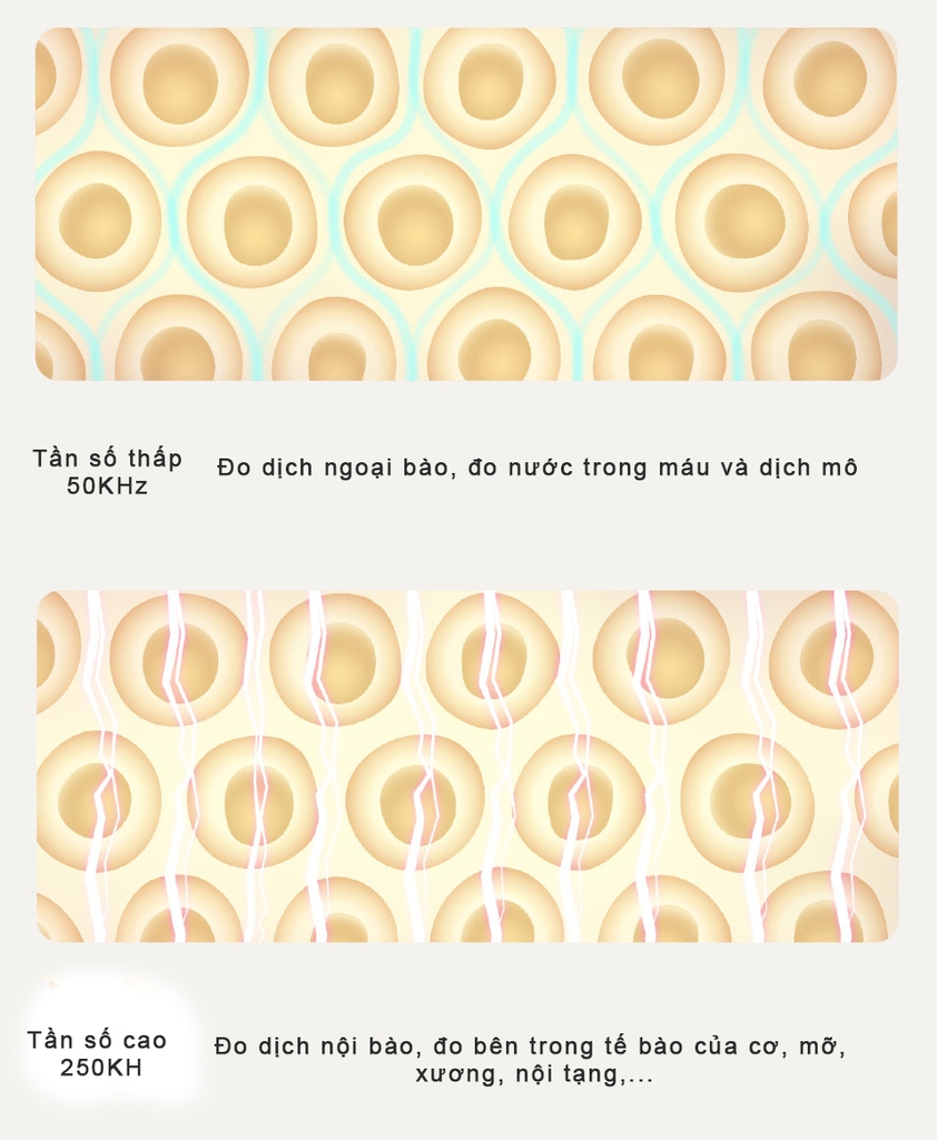 Cân Thông Minh Xiaomi Body Scale S400