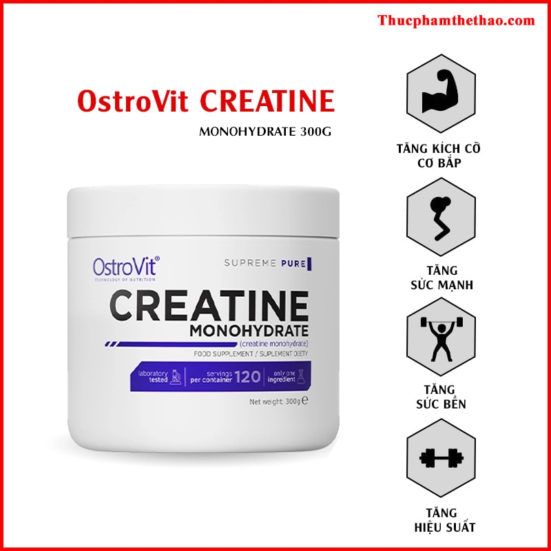 Ostrovit Creatine (500g)