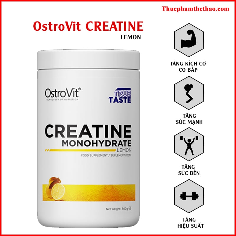 Ostrovit Creatine (500g)