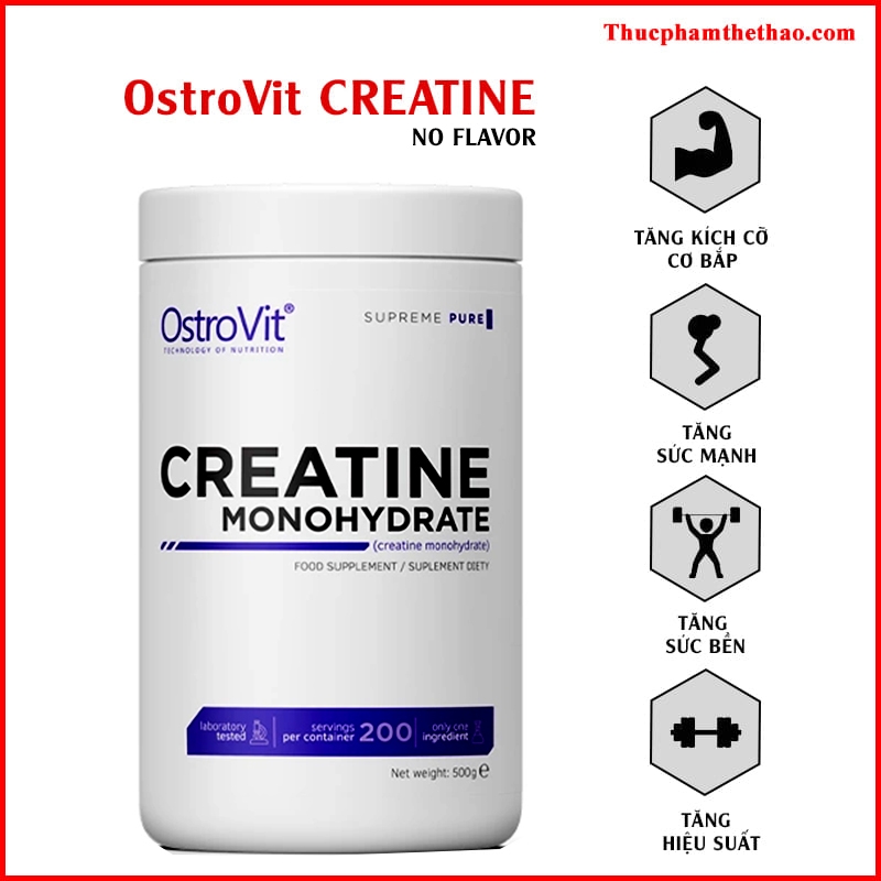 Ostrovit Creatine (500g)