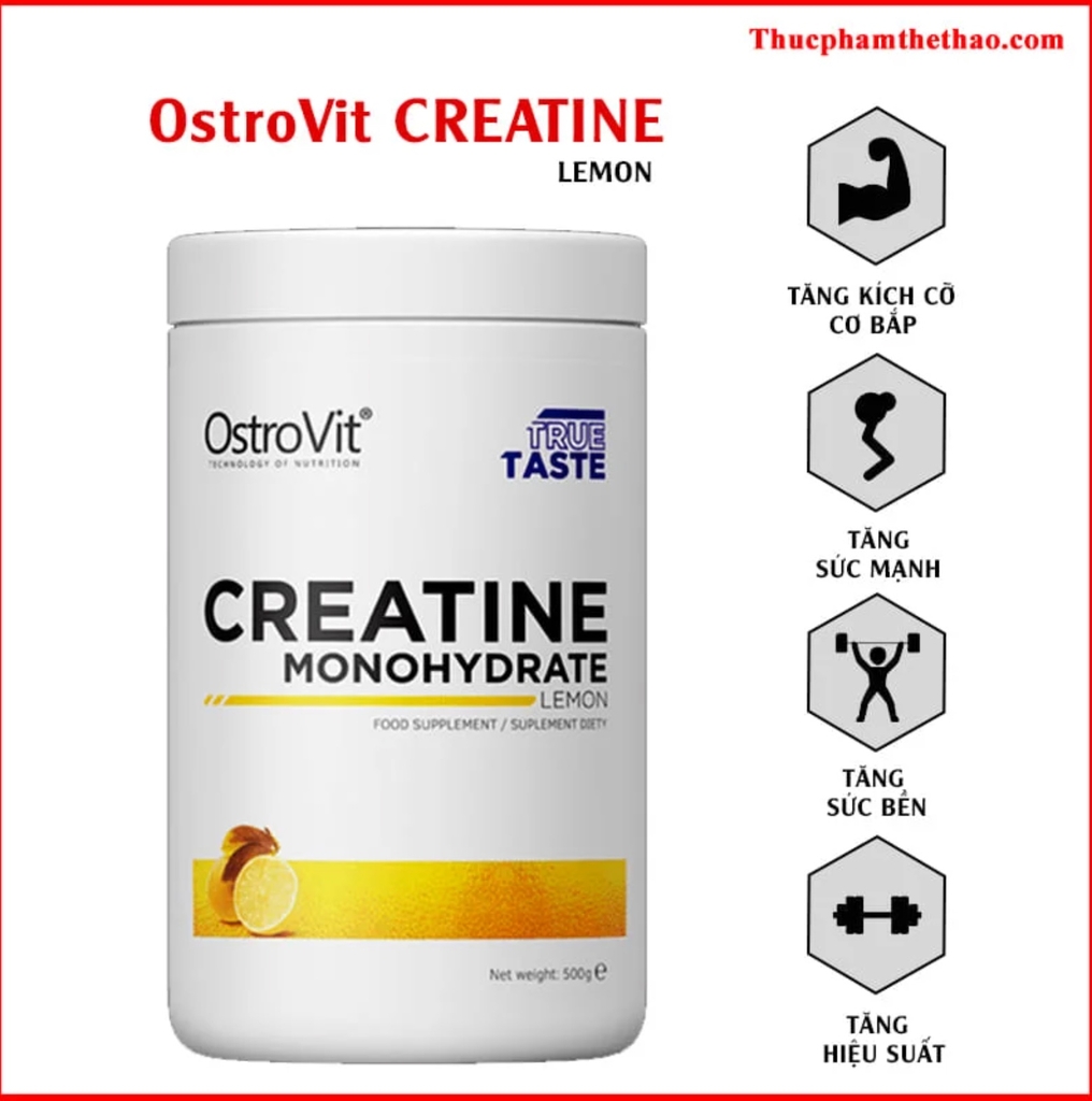 Ostrovit Creatine (500g)