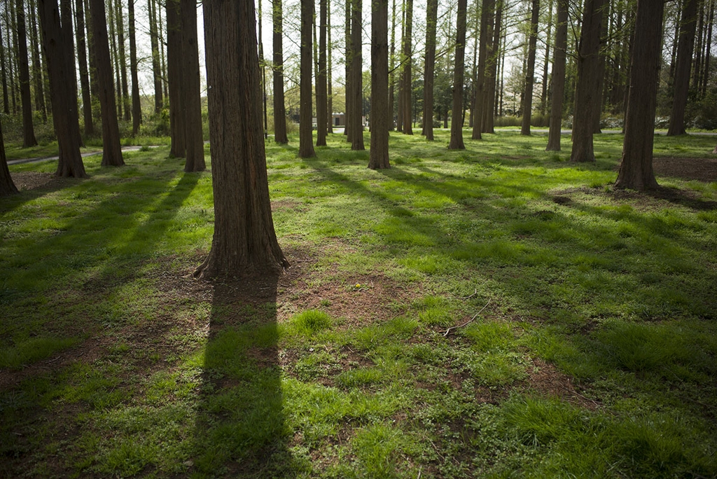 Voigtlander ULTRON Vintage Line 28mm F2 Aspherical VM II