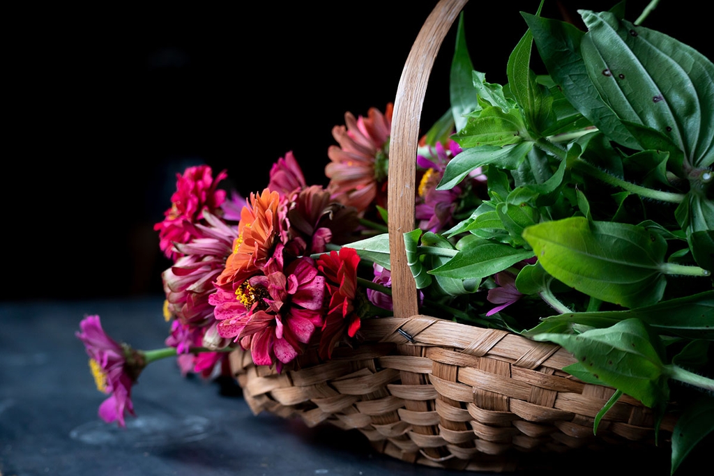 Tamron 70-300mm F/4.5-6.3 Di III RXD Nikon Z / Sony E - A047