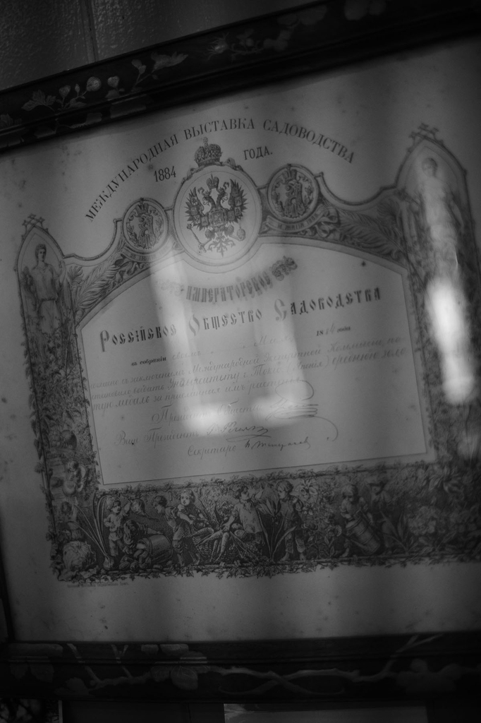 Voigtlander NOKTON D35mm F1.2 Nikon Z