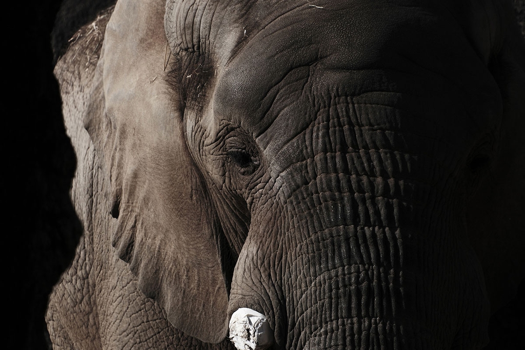 Tamron 18-300mm F/3.5-6.3 Di III-A VC VXD Sony E / Canon RF / Nikon Z / Fuji X - B061