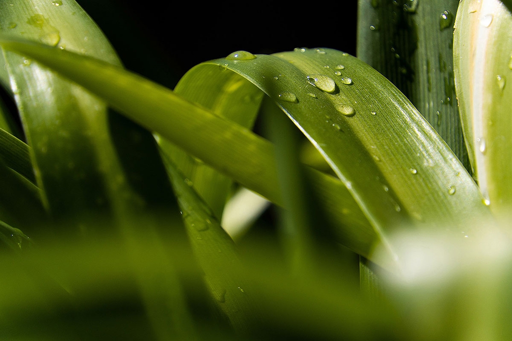 Tamron 18-300mm F/3.5-6.3 Di III-A VC VXD Sony E / Canon RF / Nikon Z / Fuji X - B061