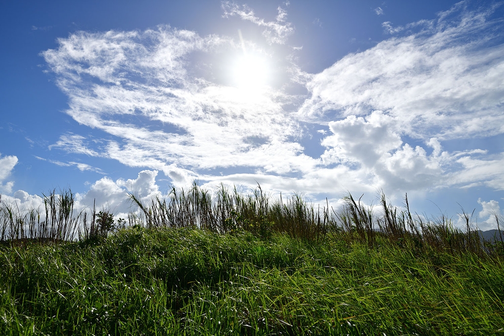 Tamron SP 15-30mm F/2.8 Di VC USD G2 Nikon F - A041