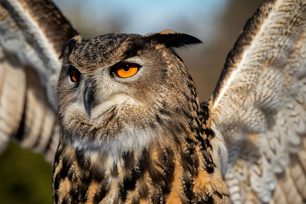 Tamron 150-500mm F/5-6.7 Di III VC VXD Sony E / Fuji X / Nikon Z - A057