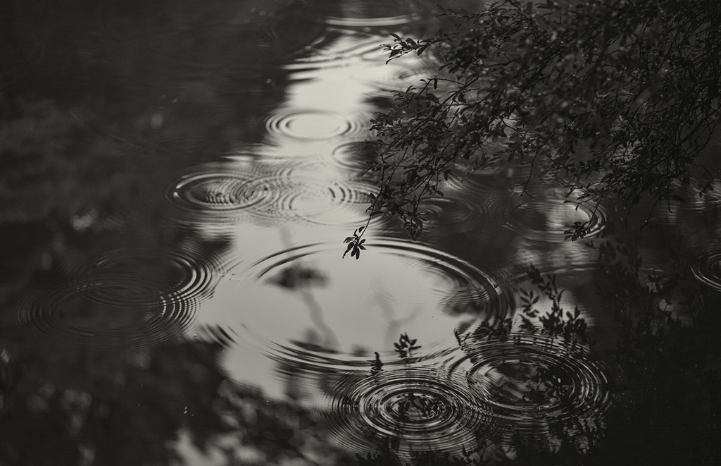 Voigtlander ULTRON 75mm F1.9 VM SC/MC