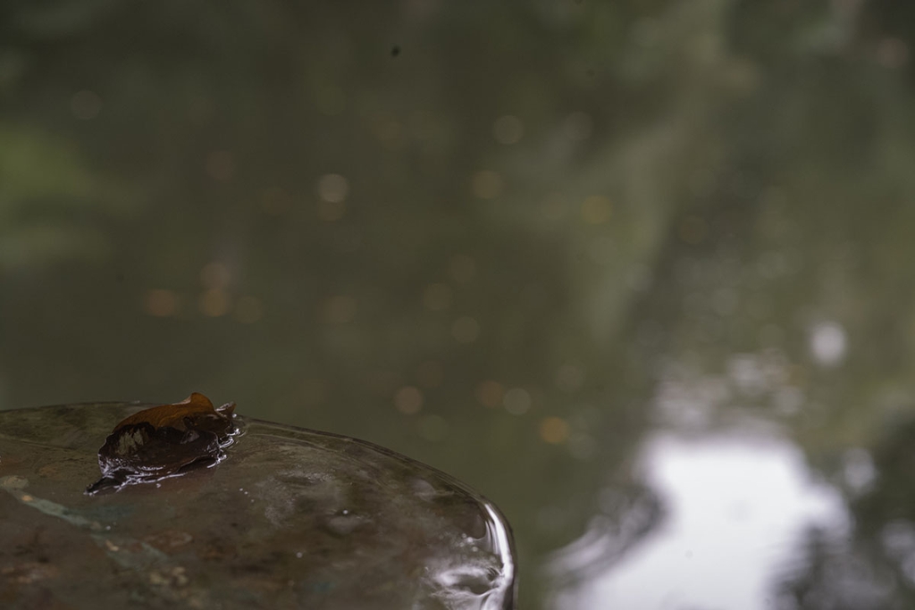 Voigtlander ULTRON 75mm F1.9 VM SC/MC