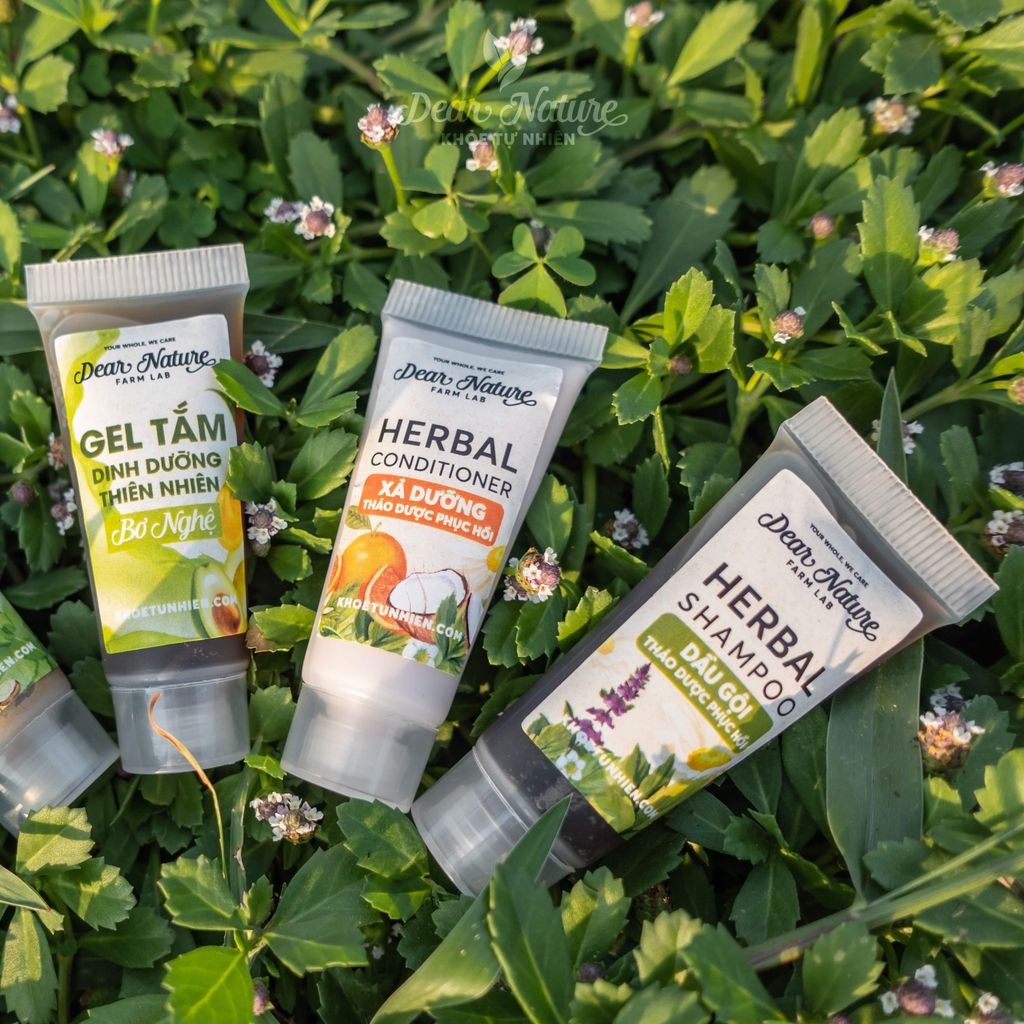 Dầu gội thảo mộc phục hồi Khoẻ Tự Nhiên Herbal Shapoo