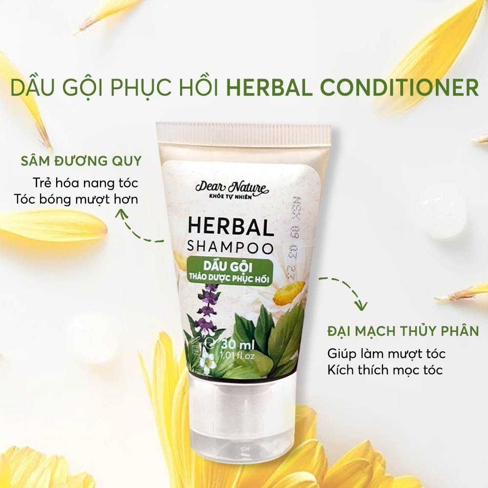 Dầu gội thảo mộc phục hồi Khoẻ Tự Nhiên Herbal Shapoo