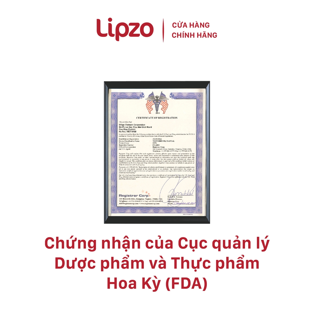 Combo 3 Bàn Chải Đánh Răng Lipzo Áo Dài Cỡ Lớn Dành Cho Người Lớn Công Nghệ Chỉ Tơ Xoắn Kép Kháng Khuẩn Siêu Mảnh