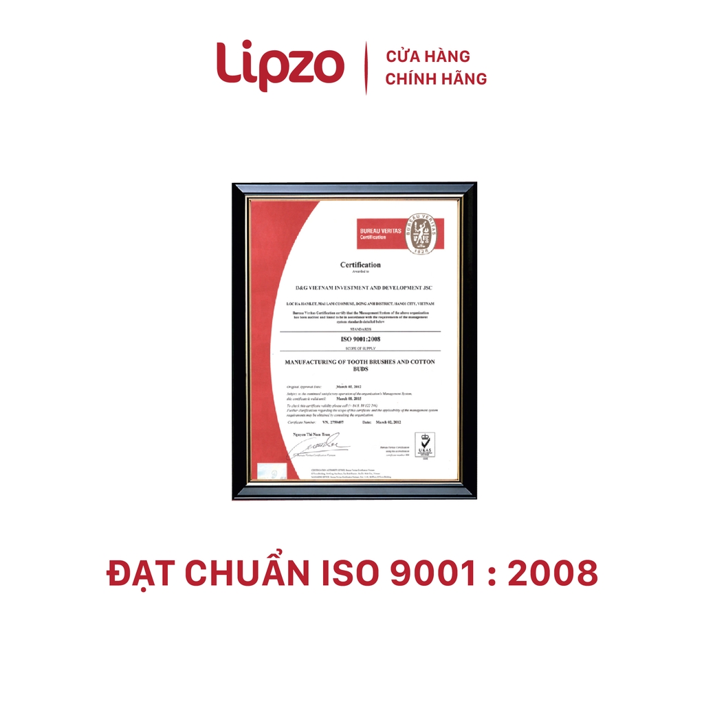 Combo 3 Bàn Chải Đánh Răng Lipzo Áo Dài Cỡ Lớn Dành Cho Người Lớn Công Nghệ Chỉ Tơ Xoắn Kép Kháng Khuẩn Siêu Mảnh