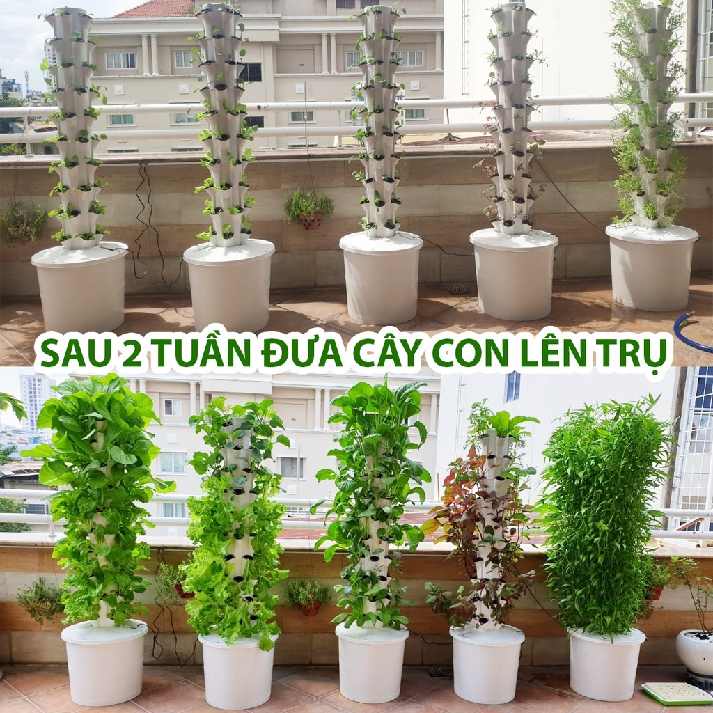 Combo 4 Trụ đứng Trồng Rau Thủy Canh kèm 4 cặp DD/Bơm/mút xốp/Hạt giống/Khay ươm