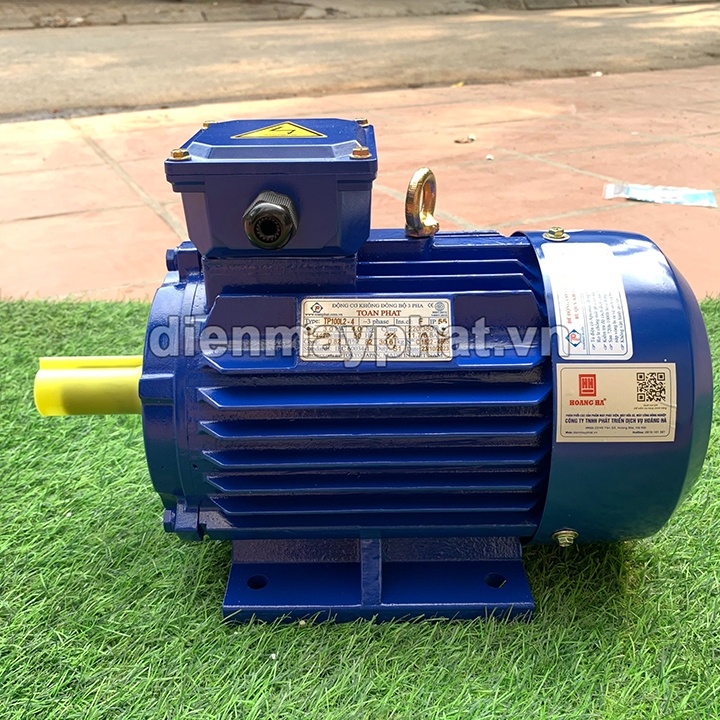 Động Cơ Điện Toàn Phát 3Kw 1500 Vòng/Phút 3 Pha TP100L2-4