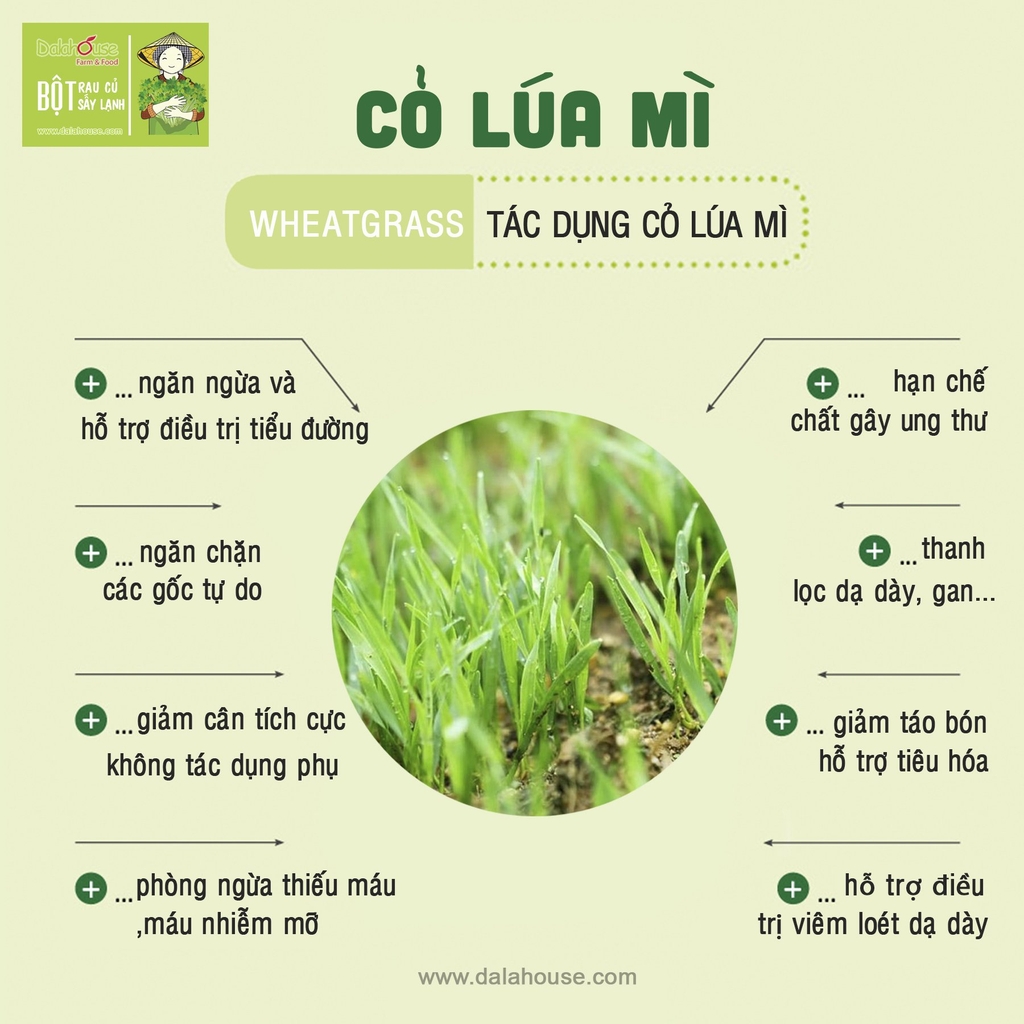Bột cỏ lúa mì tự nhiên - Dalahouse - Lâm Đồng - 120gr