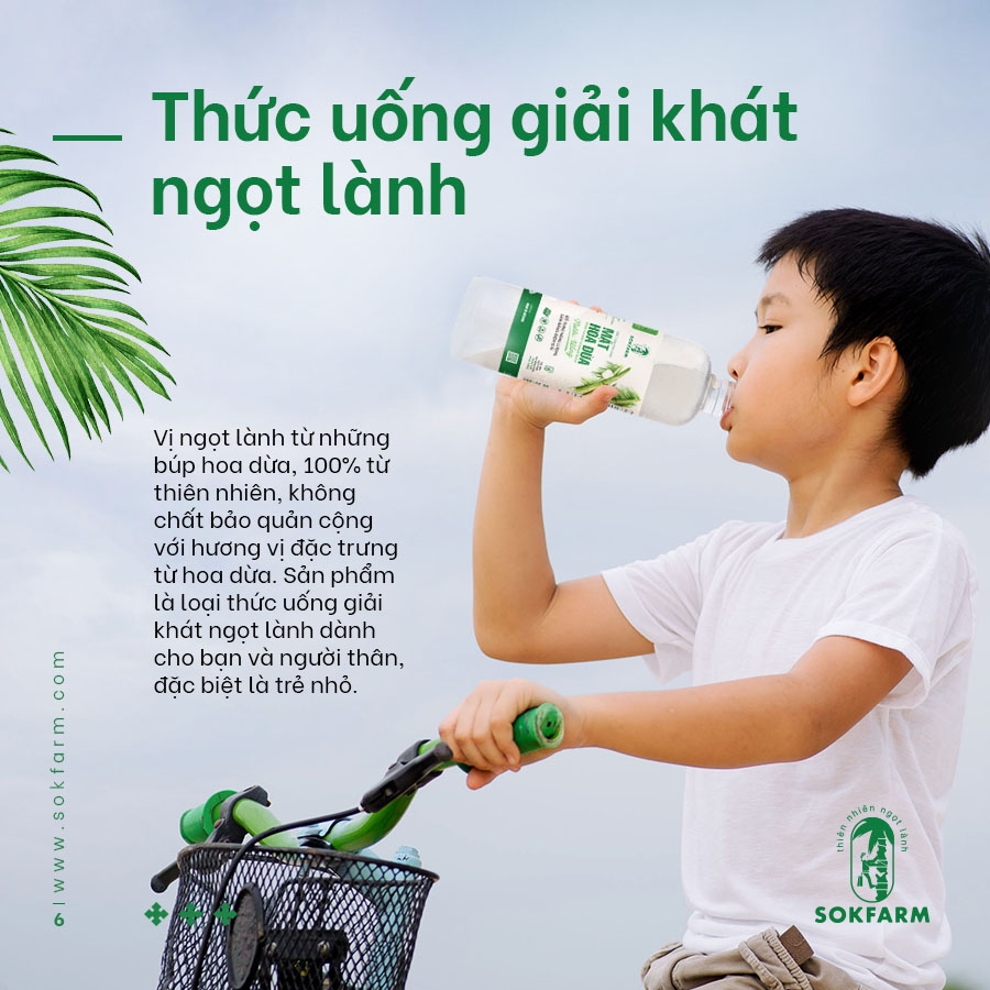 Nước uống Mật Hoa Dừa tự nhiên 200ml - SokFarm - Trà Vinh