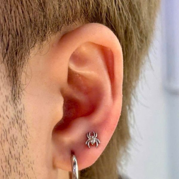 Bông tai titan hình con nhện size mini