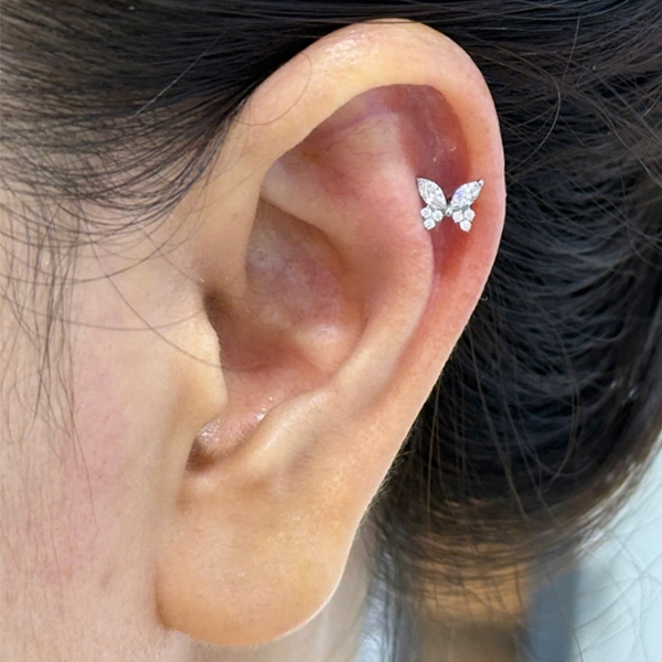 Bông tai Titan hình con bướm - 1.2*10mm - Có 5 màu