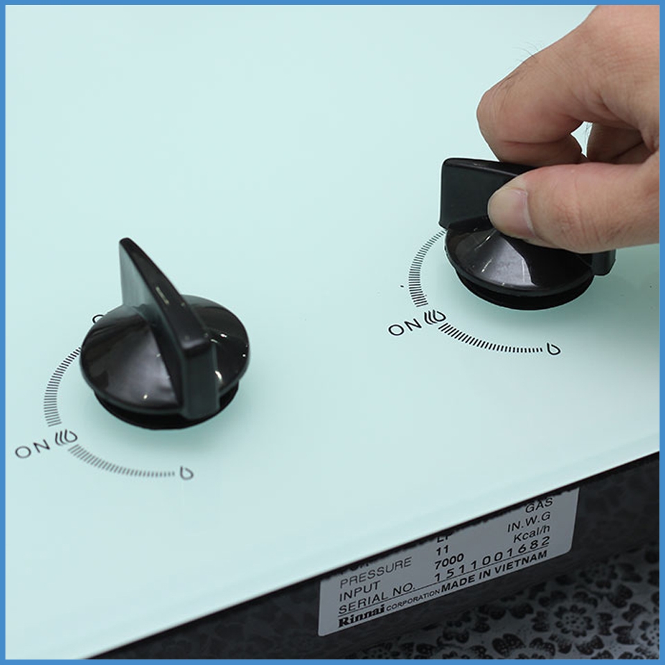 Bếp Gas Âm Rinnai RVB-2WGN