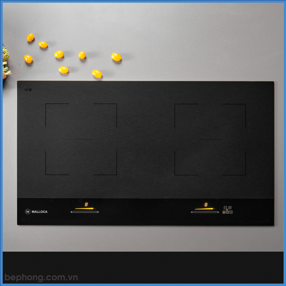 Bếp Từ Skylux Malloca MH-802