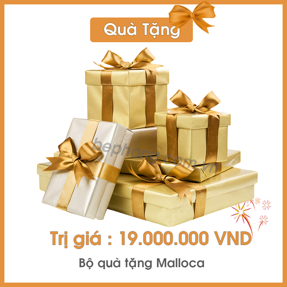 Bếp Từ Kết Hợp Máy Hút Mùi Malloca HIH-864