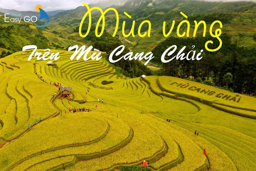 TOUR DU LỊCH HÀ NỘI - MÙ CANG CHẢI MÙA LÚA CHÍN 3 NGÀY 2 ĐÊM