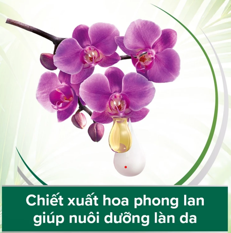 Sữa tắm Palmolive chiết xuất thiên nhiên dưỡng da ẩm mịn từ hoa 500g