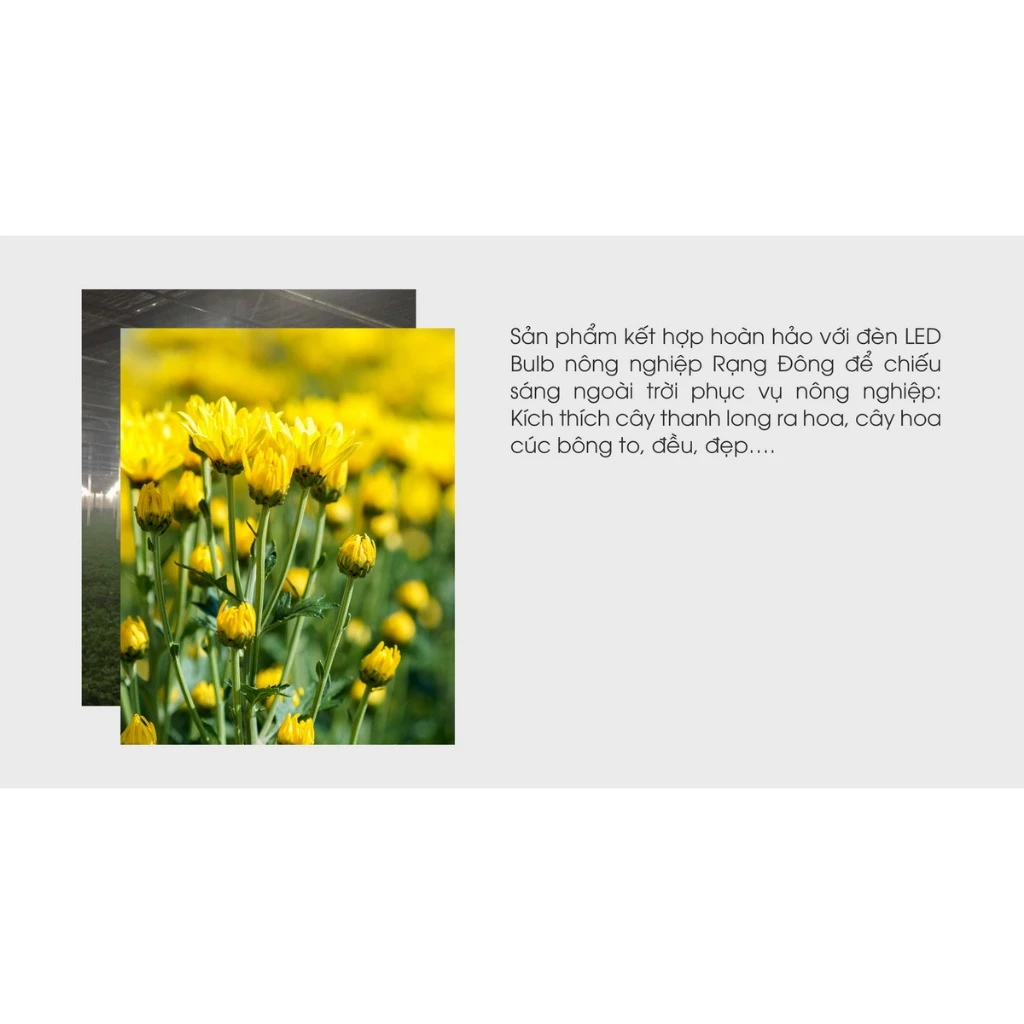 Đui đèn chống nước E27 Rạng Đông sử dụng ngoài trời, đảm bảo an toàn cho người sử dụng, phù hợp với nhiều thiết bị
