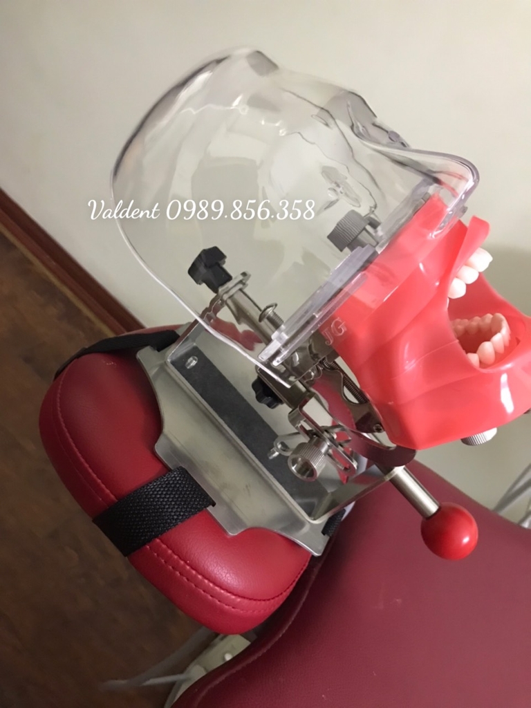 Mô hình thực hành nha khoa gắn ghế răng - Đầu Phantom thực hành nha khoa