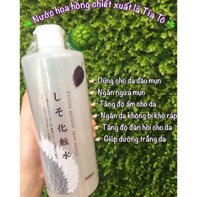 LOTION TÍA TÔ DƯỠNG TRẮNG DA PERILLA NATURAL SKIN LOTION 500ml