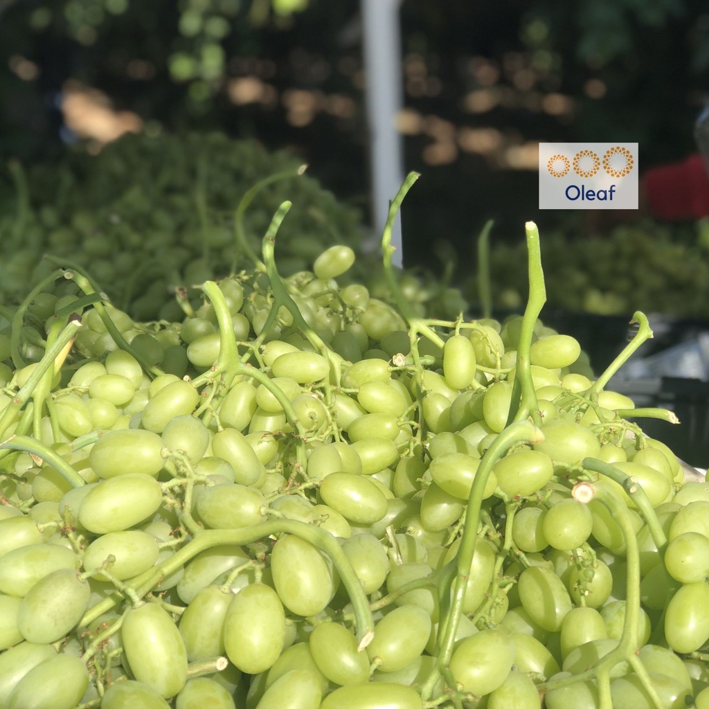 Nho Khô Thập Cẩm Sunview Mỹ 425g Jumbo Size Chính Hãng Nguyên Lon Nhập Khẩu Chính Ngạch Mỹ- Oleaf