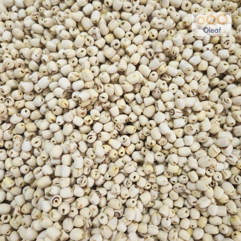 Hạt Sen Khô Đồng Tháp Thượng Hạng - Không Sượng - Bở Bùi - Nấu Chè Dưỡng Nhan - Làm Sữa Hạt - OLEAF