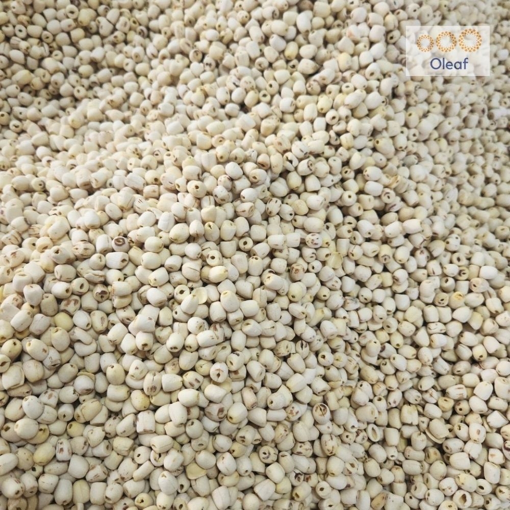 Hạt Sen Khô Đồng Tháp Thượng Hạng - Không Sượng - Bở Bùi - Nấu Chè Dưỡng Nhan - Làm Sữa Hạt - OLEAF