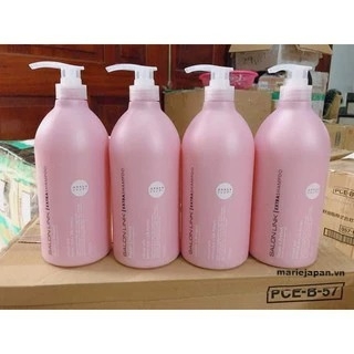 Set Gội - Xả SalonLink Phục Hồi Tóc Hư Tổn 1000ml Nhật Bản