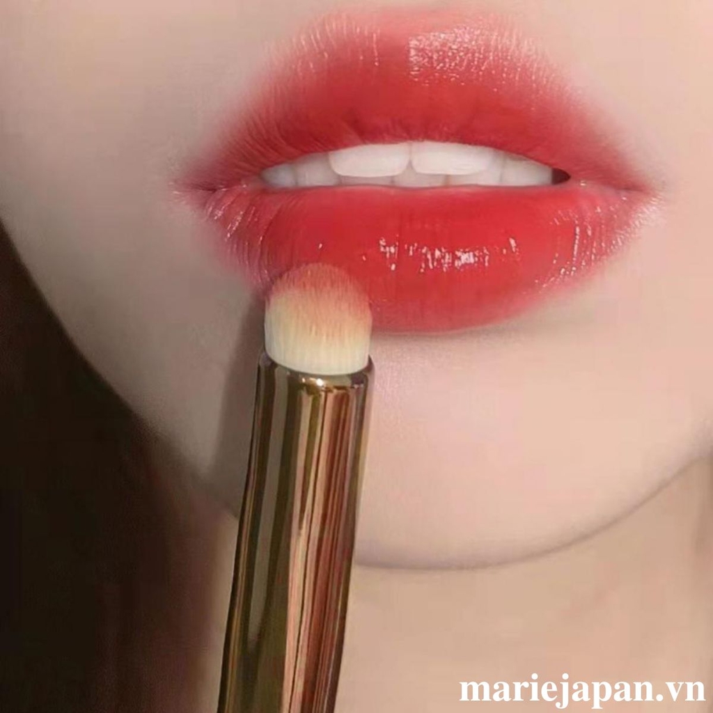 Cọ Tán Son Môi Makeup Nội Địa Trung