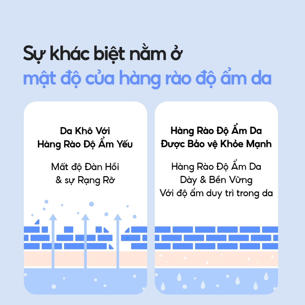 Kem Dưỡng Laneige Water Bank Cấp Ẩm Làm Dịu Phục Hồi Da Hàn Quốc - Hũ 10ml