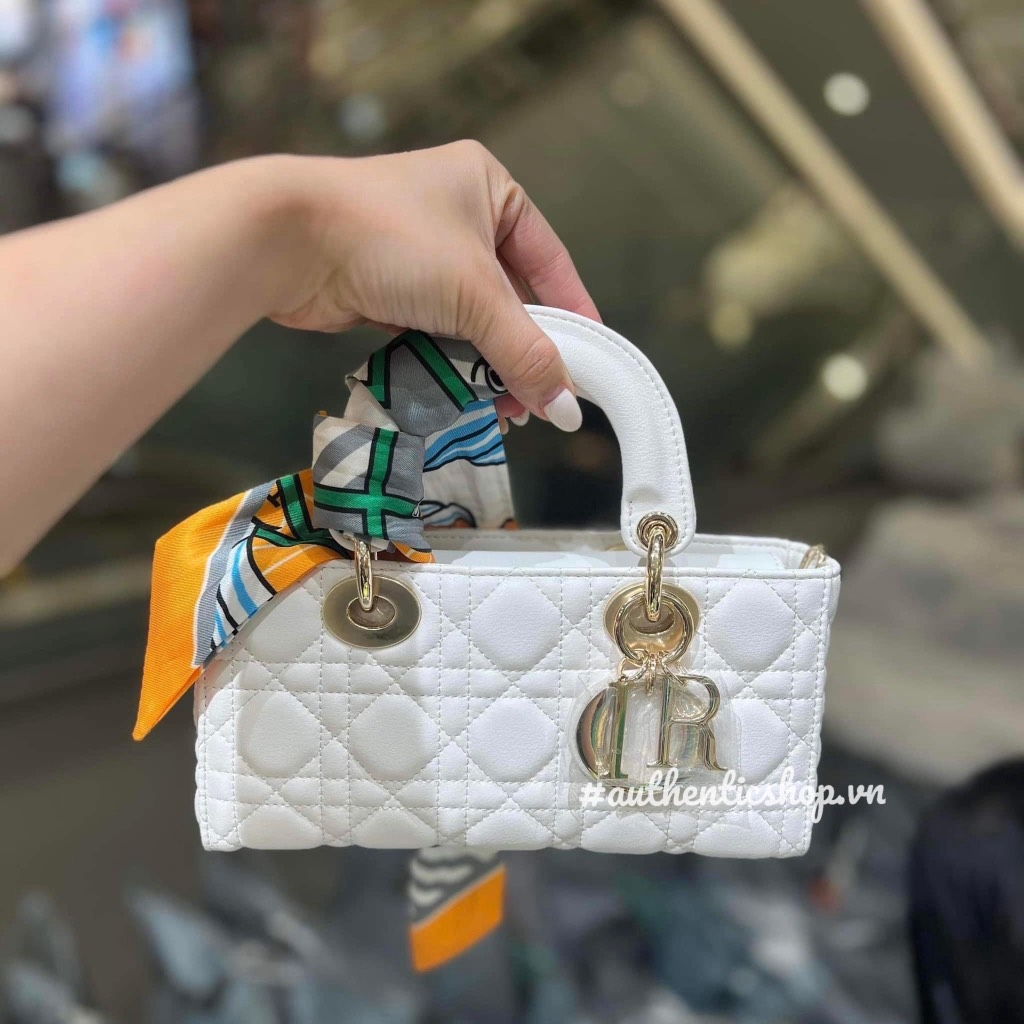 Túi Đeo Chéo Dior Remake Korea Lady Size 22 cm