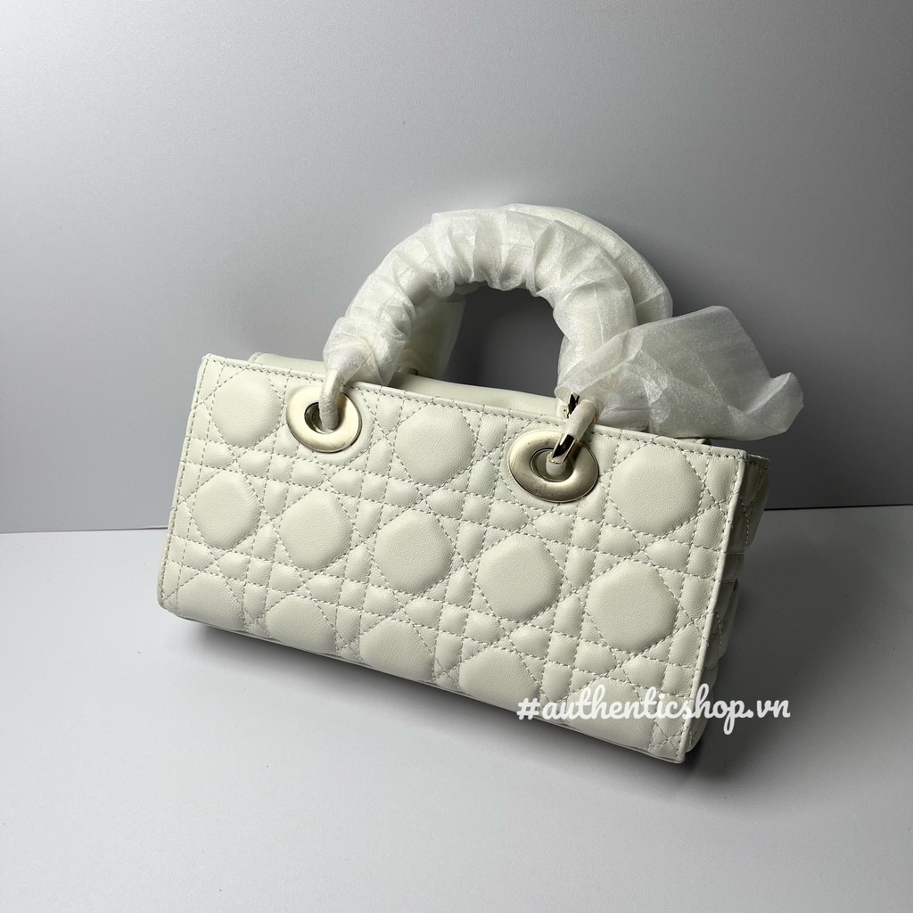 Túi Đeo Chéo Dior Remake Korea Lady Size 22 cm